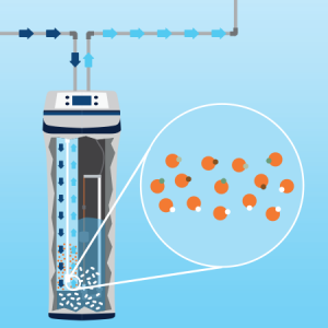 Understanding the soft water process